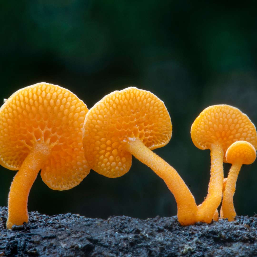 MAST semester 3 picture